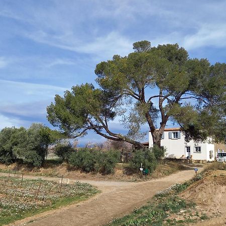 Vila Domaine Saint Augustin Rieux-Minervois Exteriér fotografie