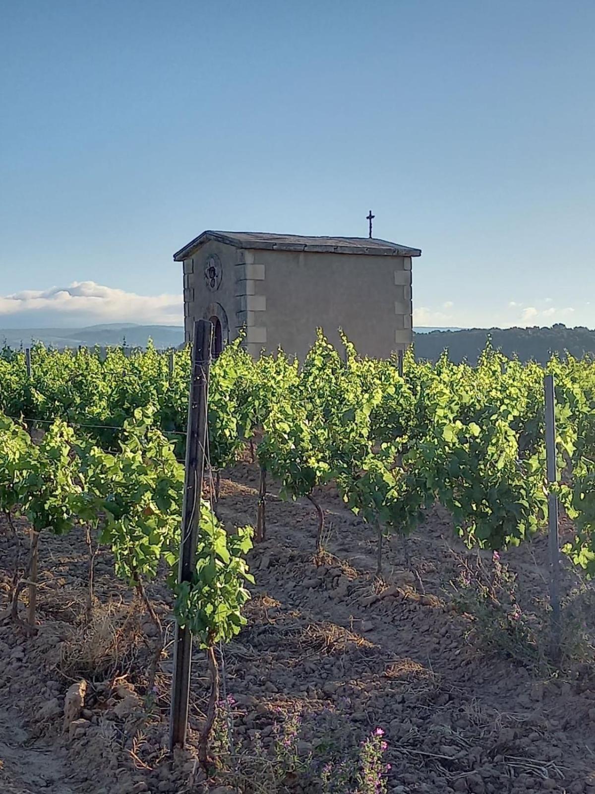 Vila Domaine Saint Augustin Rieux-Minervois Exteriér fotografie