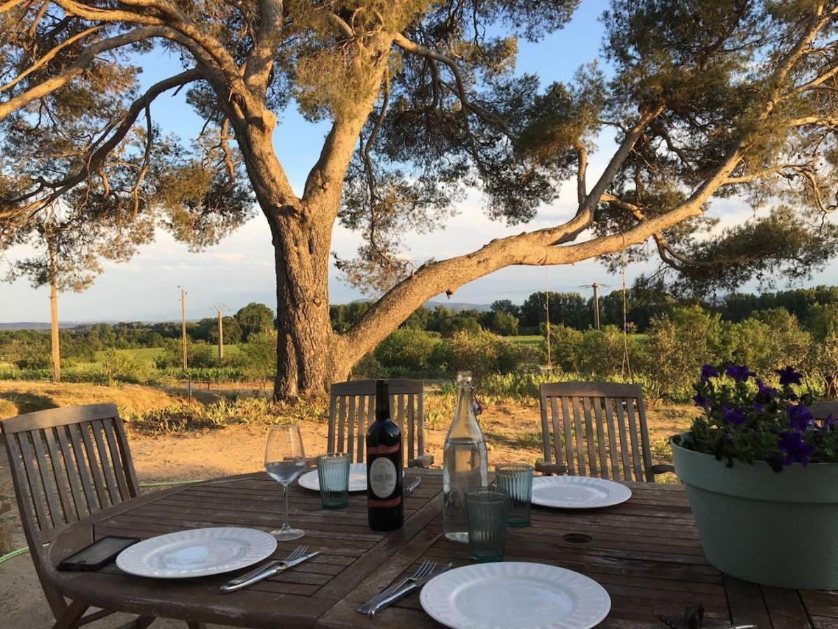 Vila Domaine Saint Augustin Rieux-Minervois Exteriér fotografie