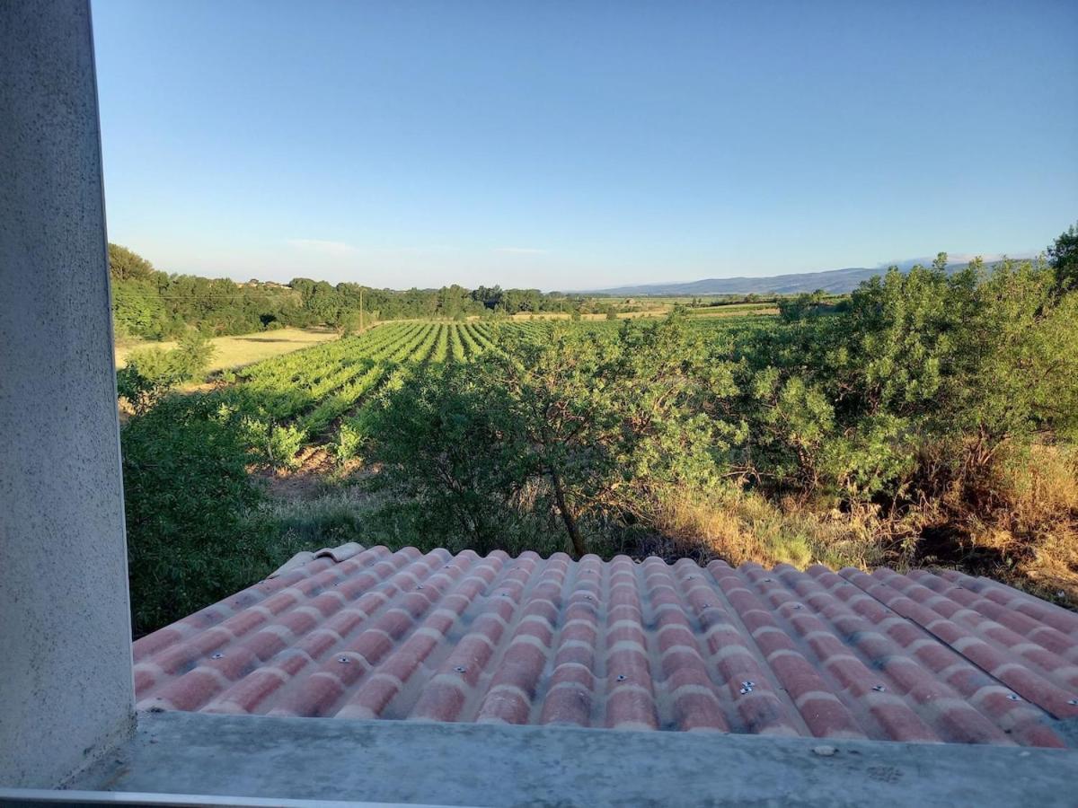Vila Domaine Saint Augustin Rieux-Minervois Exteriér fotografie