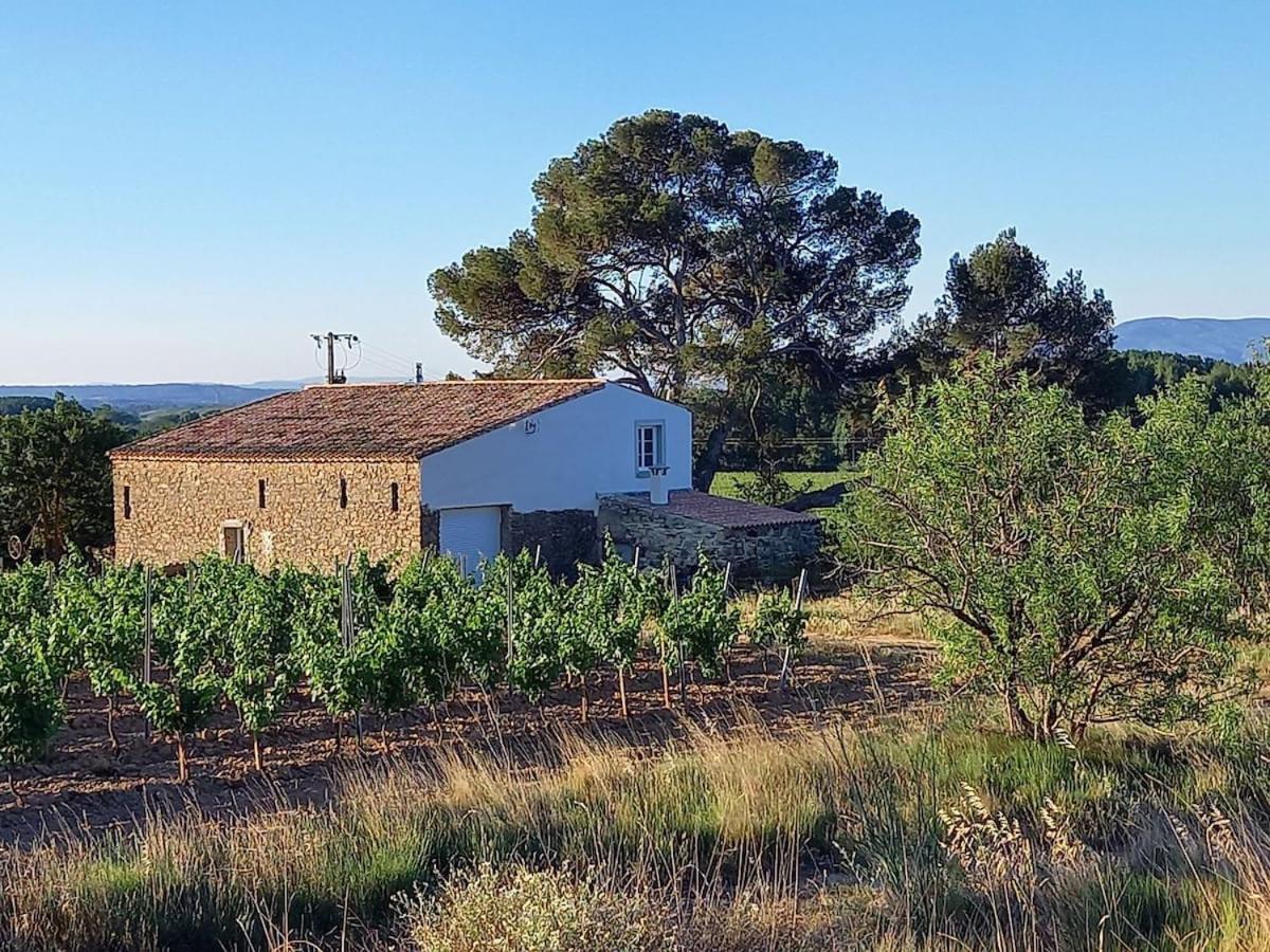 Vila Domaine Saint Augustin Rieux-Minervois Exteriér fotografie